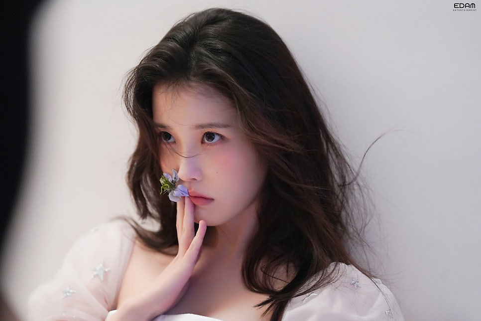 [잡담] 아이유 이사진 너무 이쁘다ㅠㅠㅠㅠㅠㅠㅠ | 인스티즈