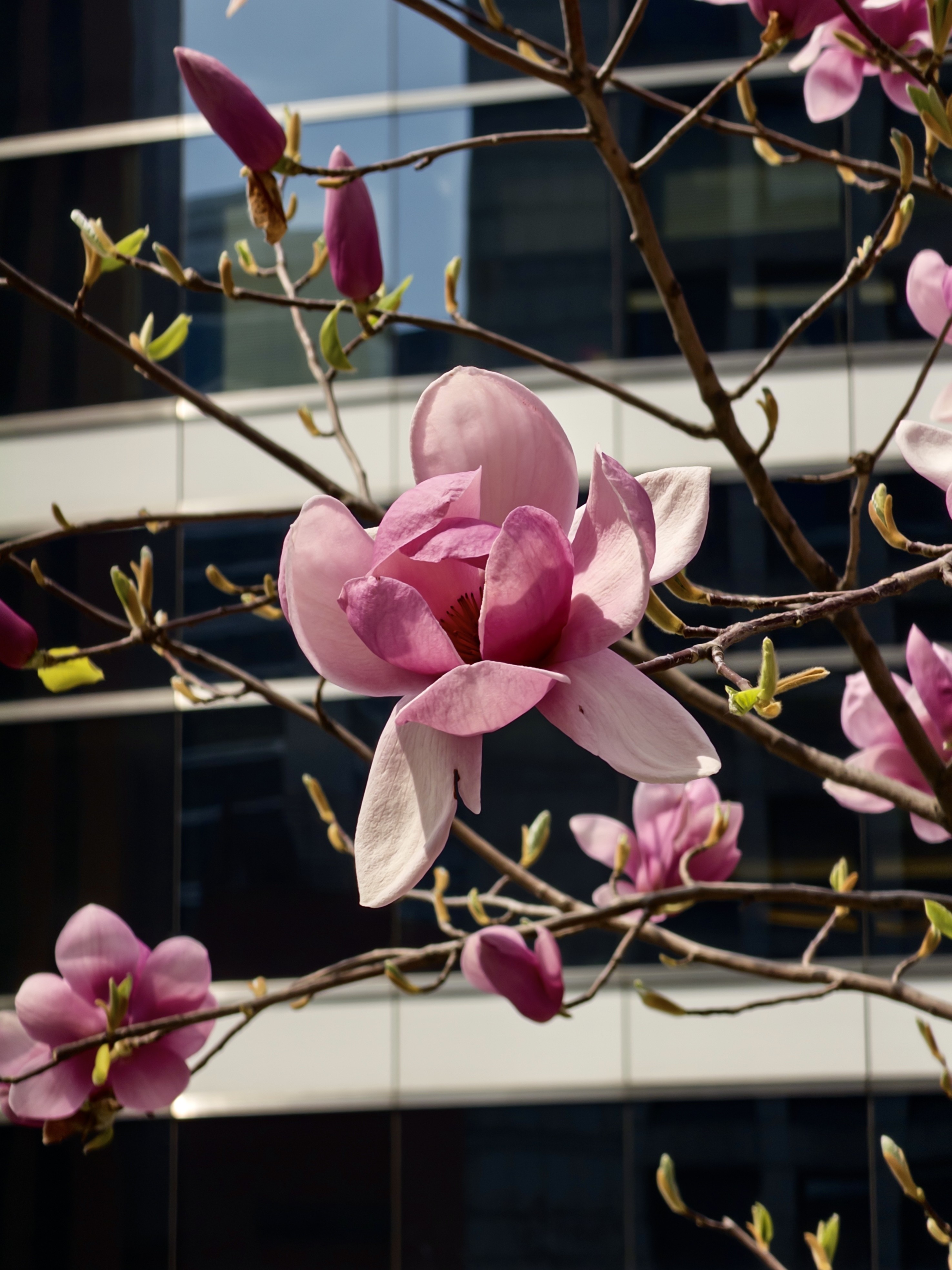 [잡담] 오늘 서울역 풍경🌸🌸 | 인스티즈