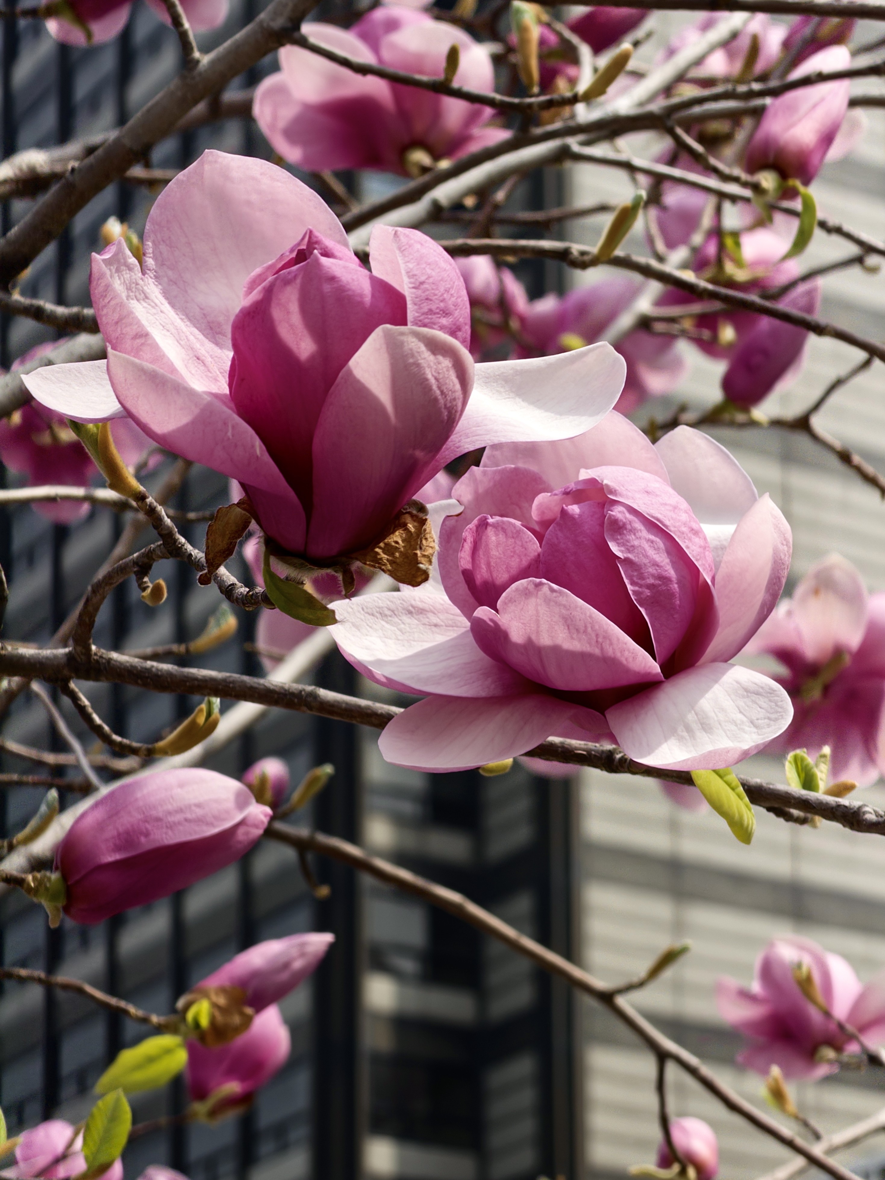 [잡담] 오늘 서울역 풍경🌸🌸 | 인스티즈
