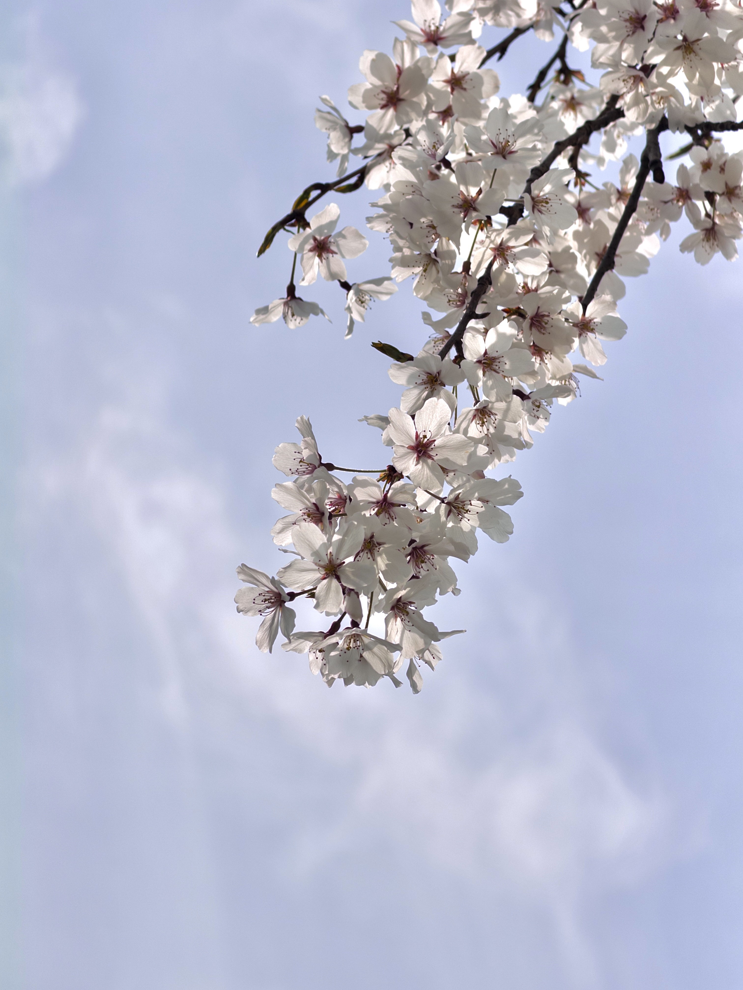 [잡담] 오늘 서울역 풍경🌸🌸 | 인스티즈