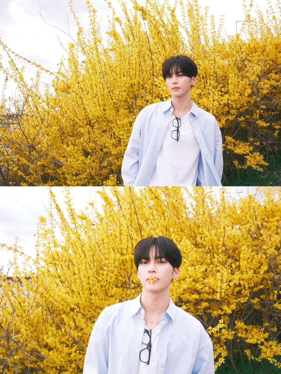 [잡담] 성한빈이 준 사진봐 청순 | 인스티즈