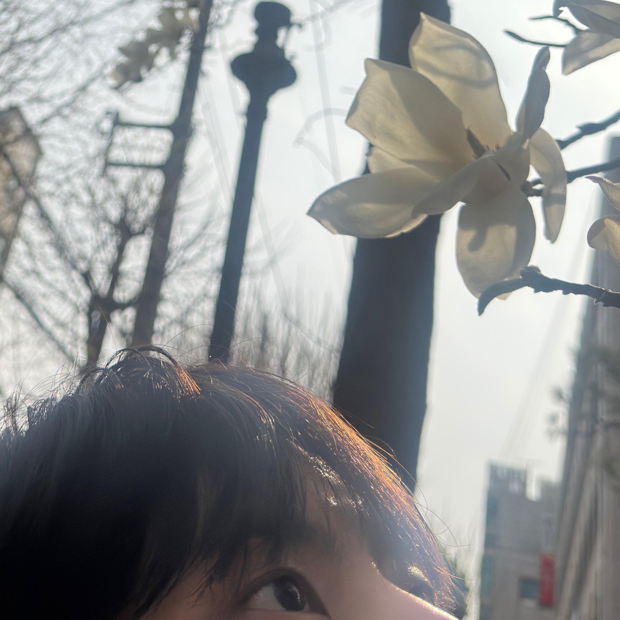 [잡담] 이 남돌 찾아줘 누구야 급해 | 인스티즈