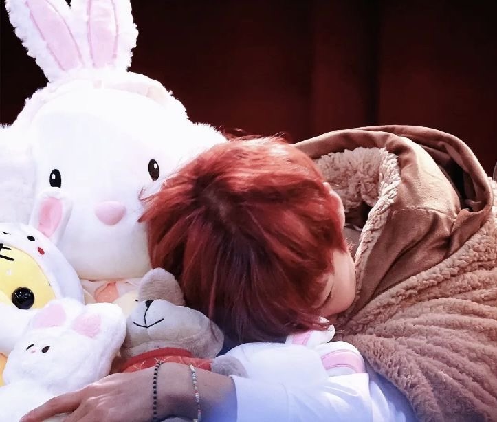 [잡담] 박지훈 진짜 변함없이 인형 엄청 좋아하는거 좋다ㅋㅋㅋ | 인스티즈