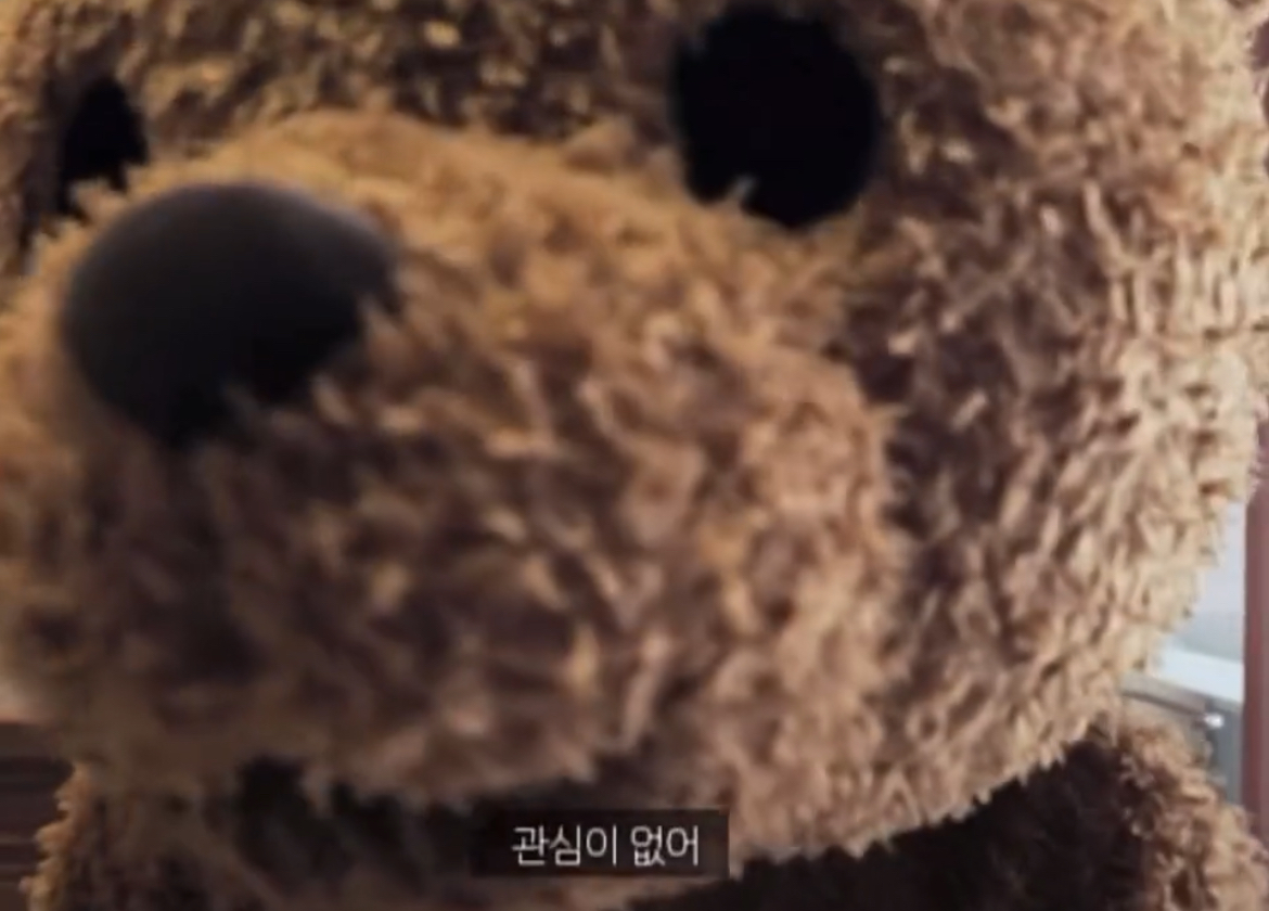 [잡담] 관심도 없어 관심도 | 인스티즈
