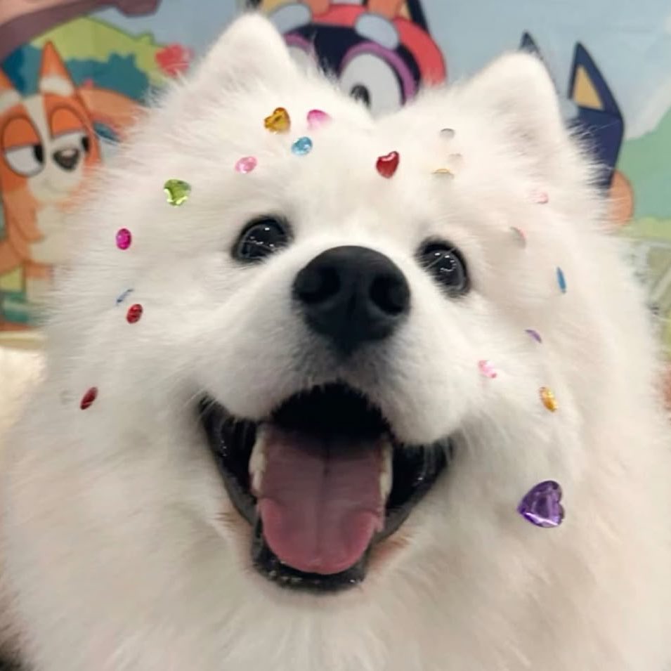 [잡담] 오늘 앤톤 진짜 강아지ㅜㅜㅠㅠㅠ | 인스티즈