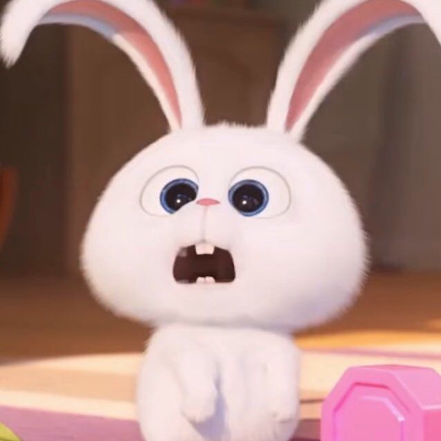 [잡담] 원빈 토끼야 고양이야 | 인스티즈