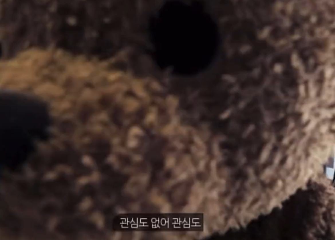 [잡담] 관심도 없어 관심도 | 인스티즈