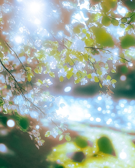 [정보/소식] 거미, 올 봄 새로운 프로젝트 발표 예고→'Spring, You, ?' 깜짝 공개 | 인스티즈