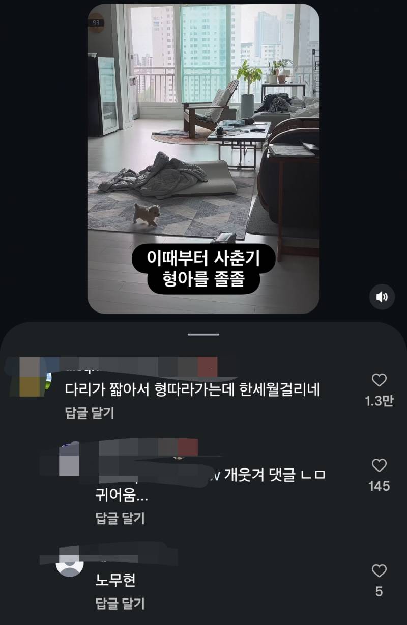 [잡담] 인스타 일베들 심하다 | 인스티즈