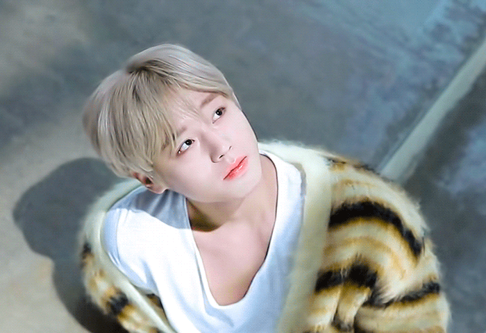 [잡담] 박지훈 어깨 넓은거 개좋다 | 인스티즈