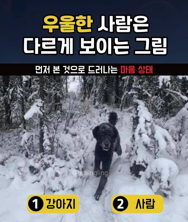 [잡담] 이거 뭐로보여? 심리테스트임 | 인스티즈