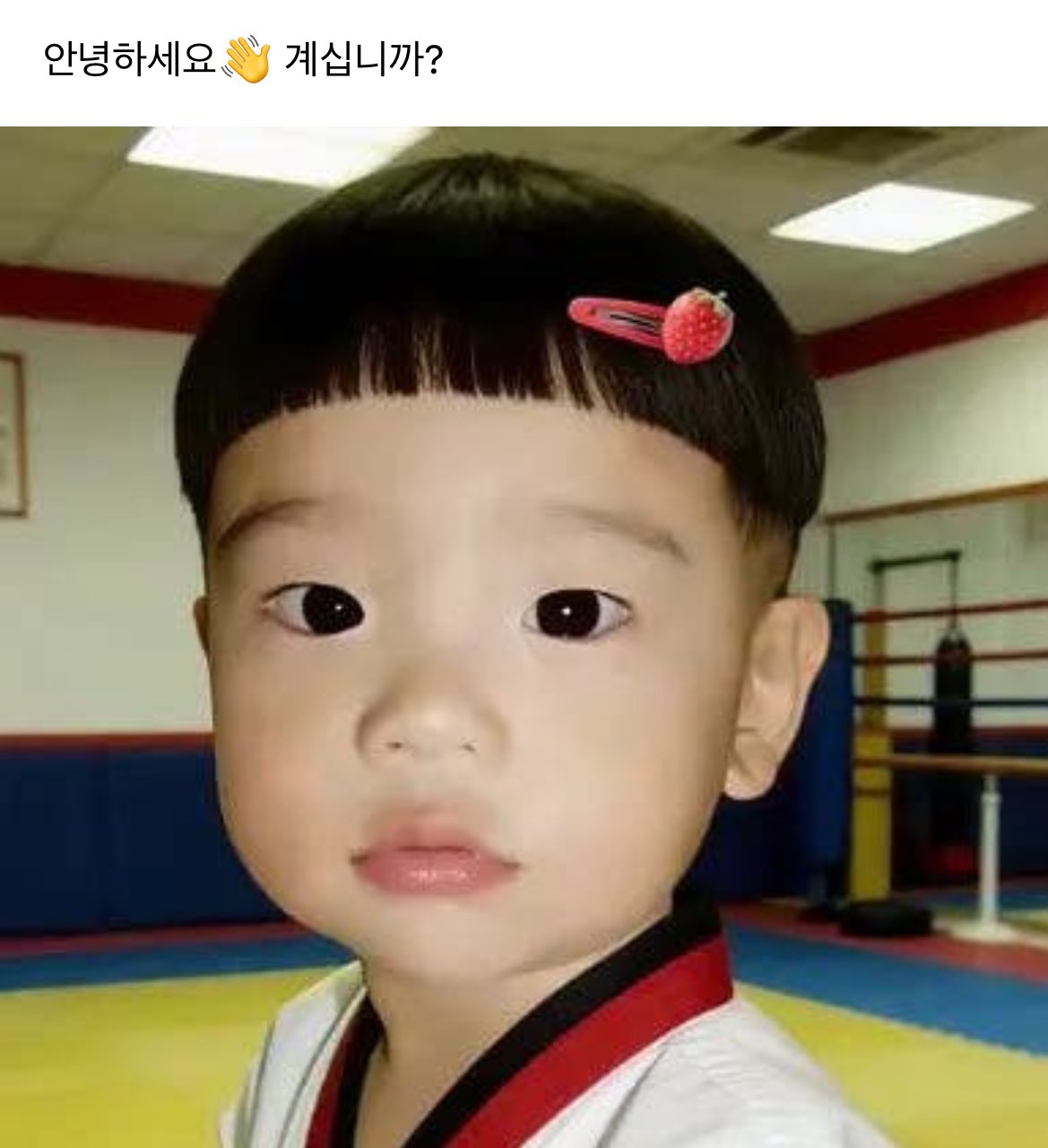 [잡담] 투어스 신유가 만우절에 위버스 닉네임 알감자로 바꾸고 벌어진 일들 | 인스티즈