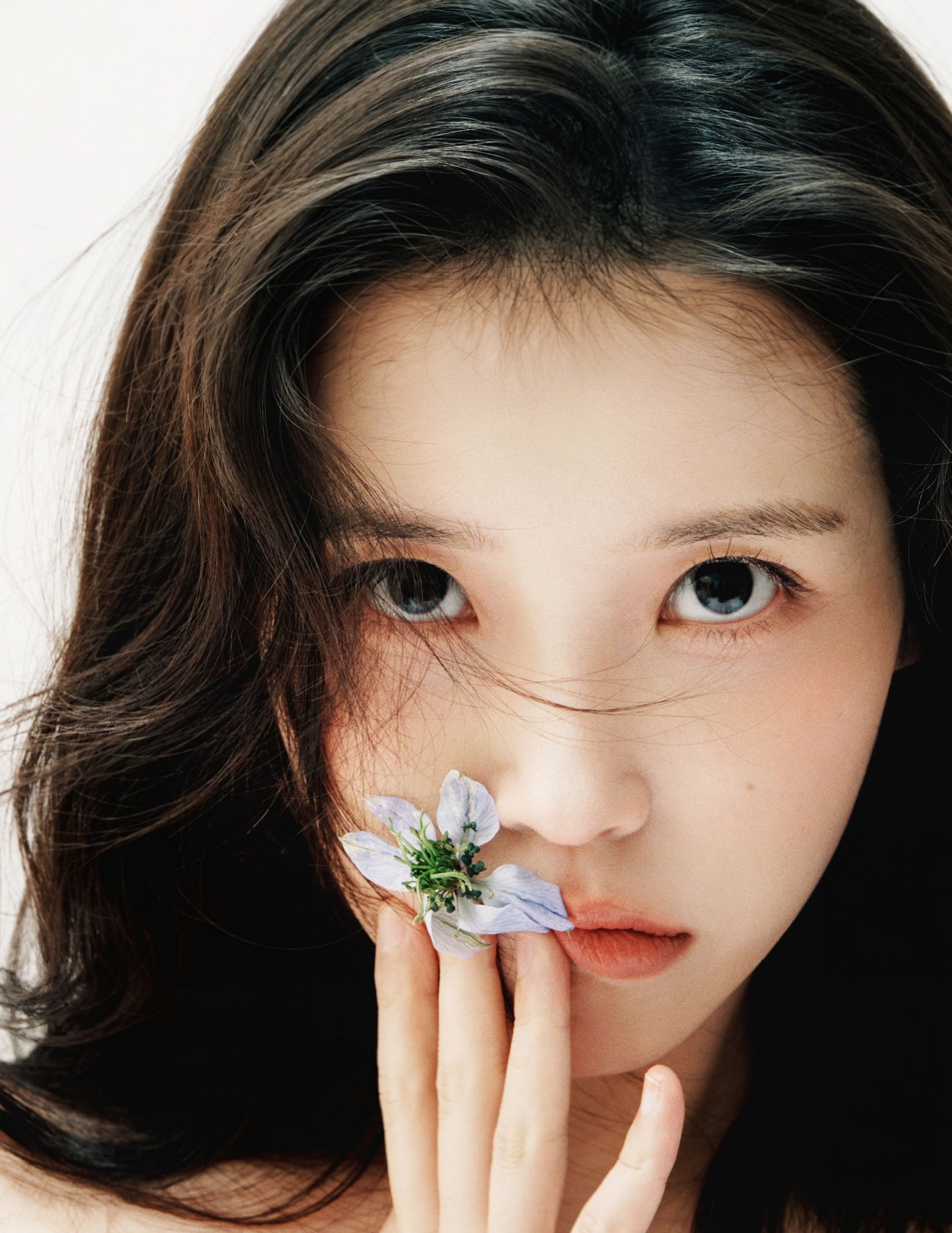 [잡담] 요즘 아이유 얼굴 뭐지 | 인스티즈