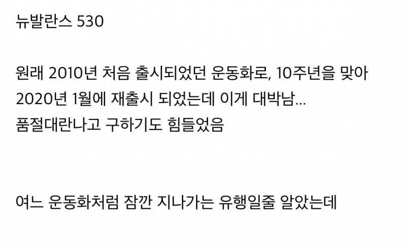 현재 유행에서 스테디로 넘어간듯한 운동화..JPG | 인스티즈