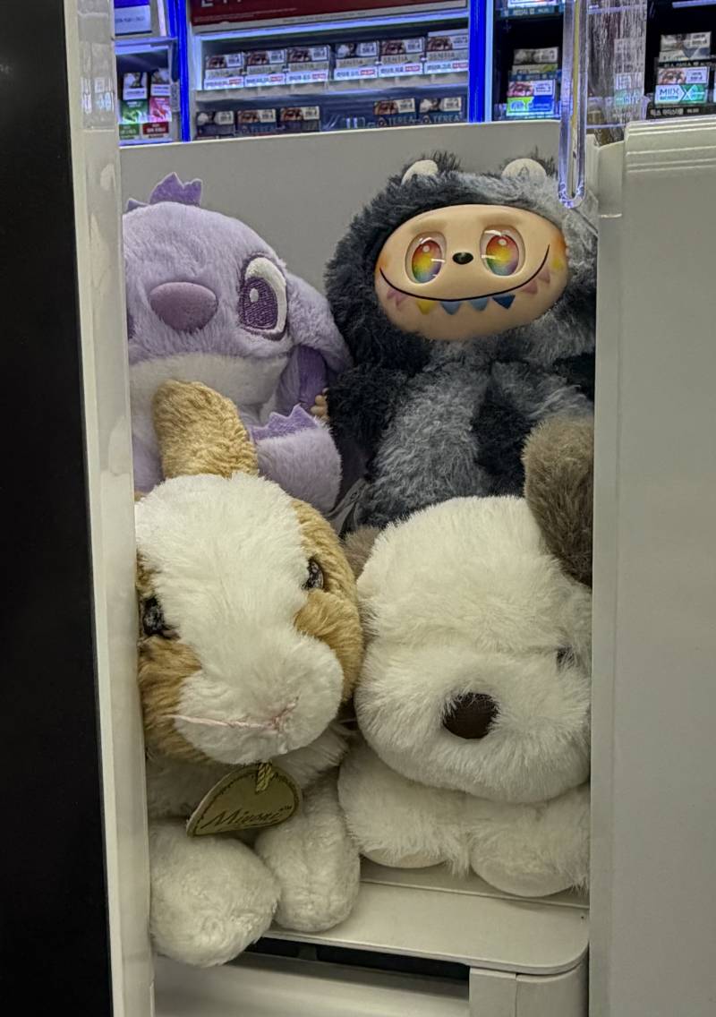 [잡담] 배치 뭐가 더 나음 | 인스티즈