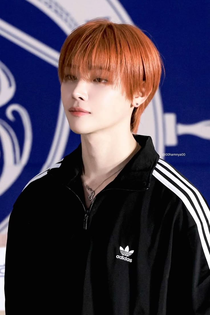 [잡담] 니콜라스 조올라 잘생겼다 | 인스티즈