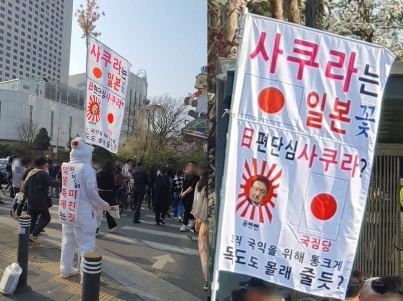 몇년째 벚꽃 시즌마다 보인다는 아저씨.jpg | 인스티즈