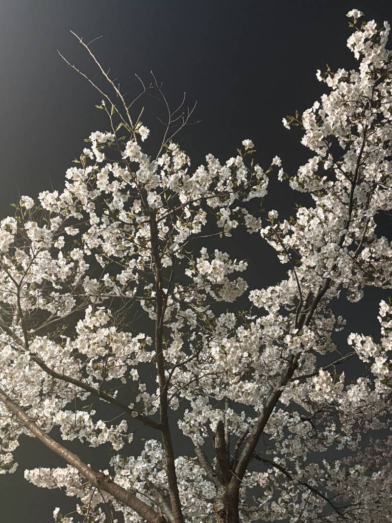 [잡담] 사진 몇번째가 나아? | 인스티즈