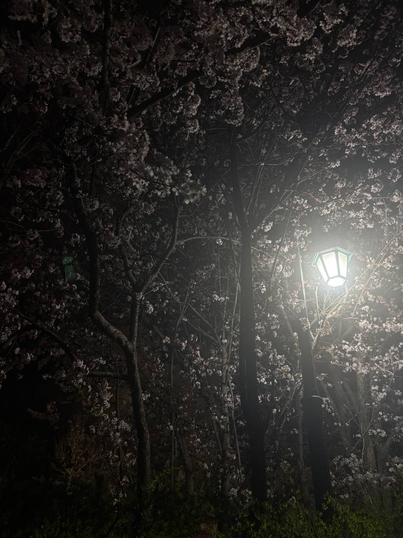 [잡담] 사진 몇번째가 나아? | 인스티즈