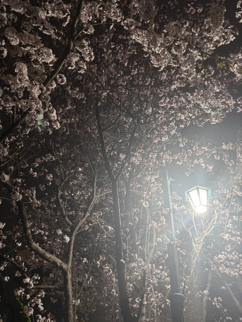[잡담] 사진 몇번째가 나아? | 인스티즈