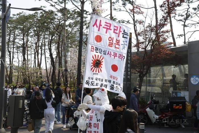 몇년째 벚꽃 시즌마다 보인다는 아저씨.jpg | 인스티즈