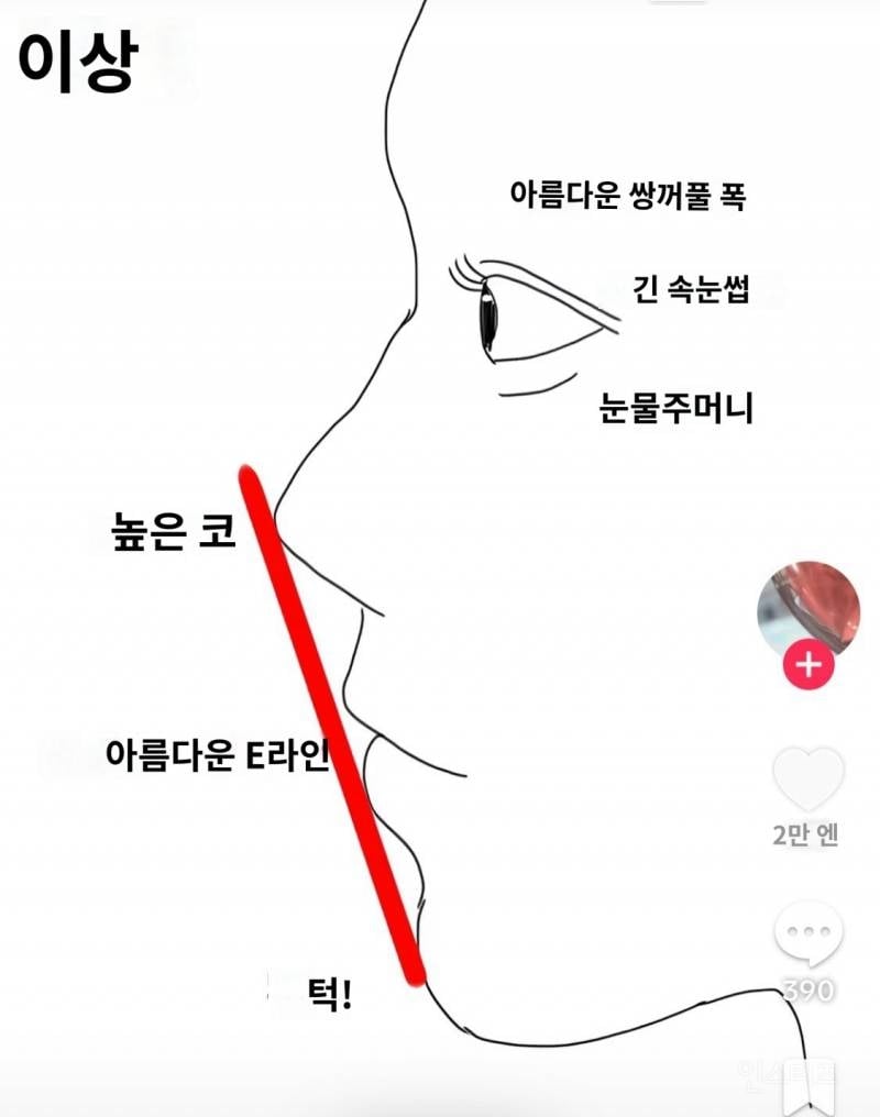차원이 다른 일본 외모지상주의 근황 | 인스티즈