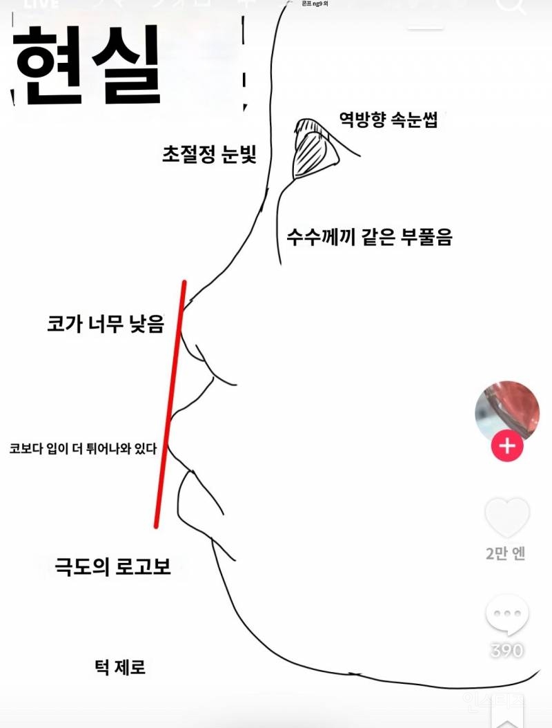 차원이 다른 일본 외모지상주의 근황 | 인스티즈