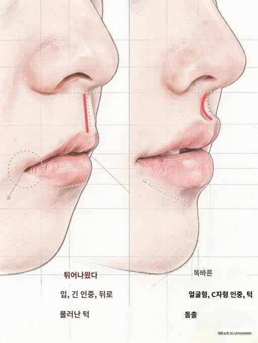 차원이 다른 일본 외모지상주의 근황 | 인스티즈