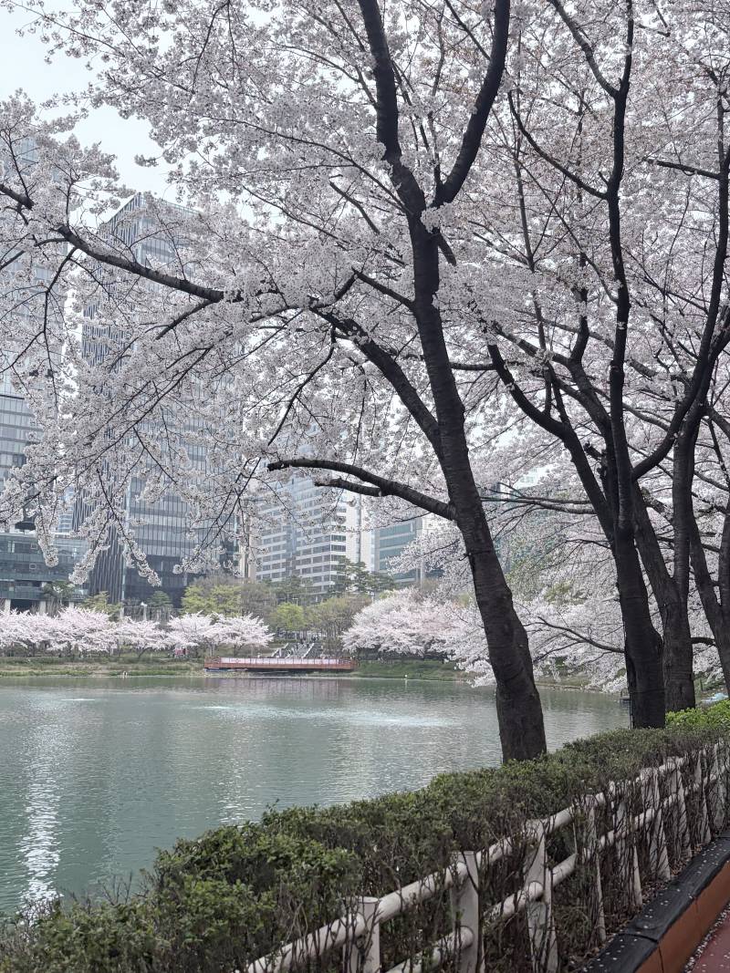 [잡담] 실시간 잠실! | 인스티즈
