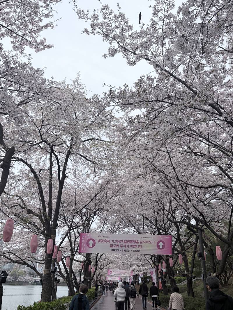 [잡담] 실시간 잠실! | 인스티즈