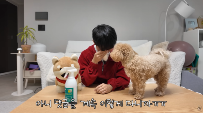 [정보/소식] "대국민 사기극”…유튜버 원샷한솔, 7년간 이어진 악플에 눈물 | 인스티즈