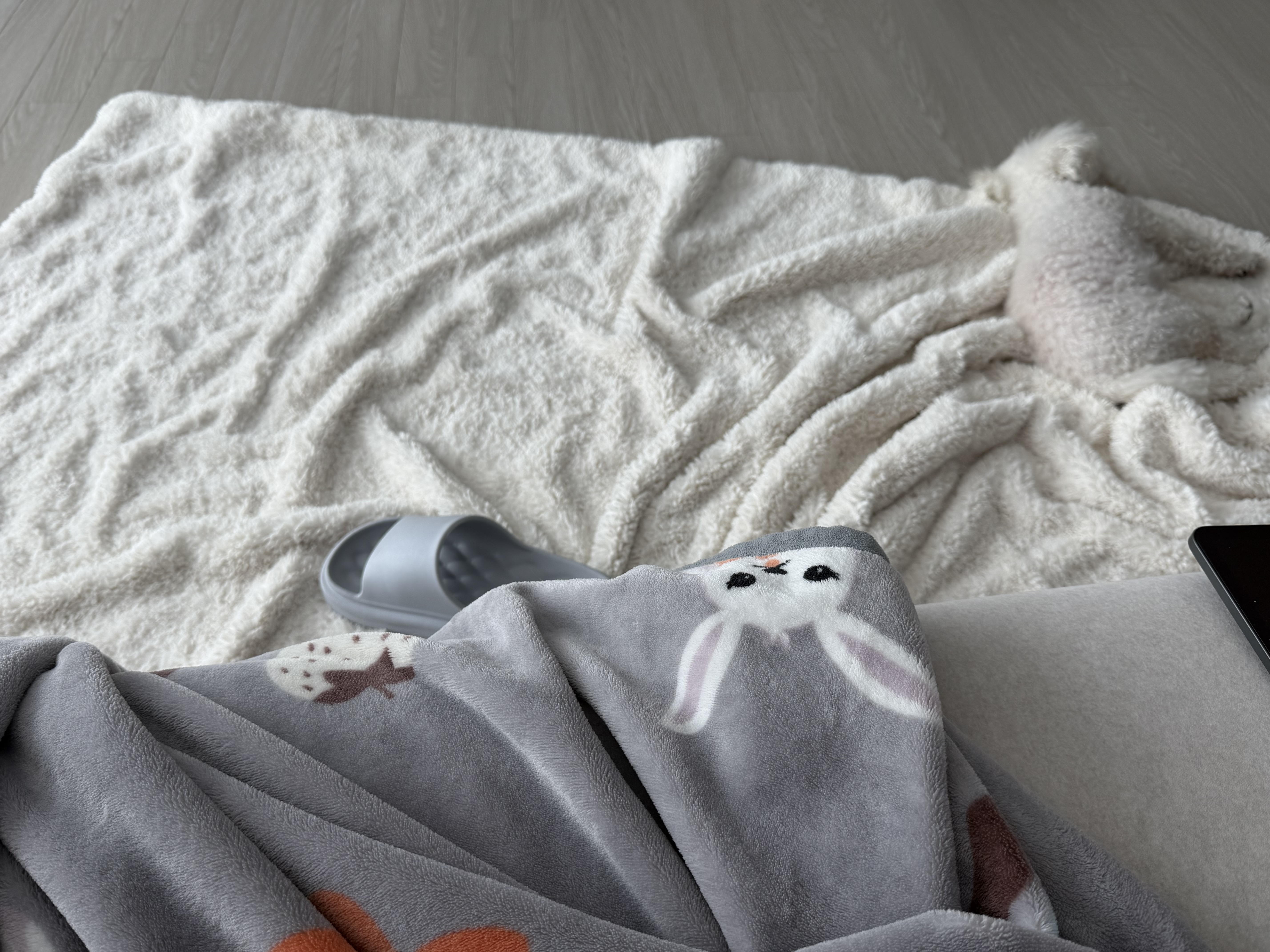 [잡담] 와 보호색 개쩔어 | 인스티즈