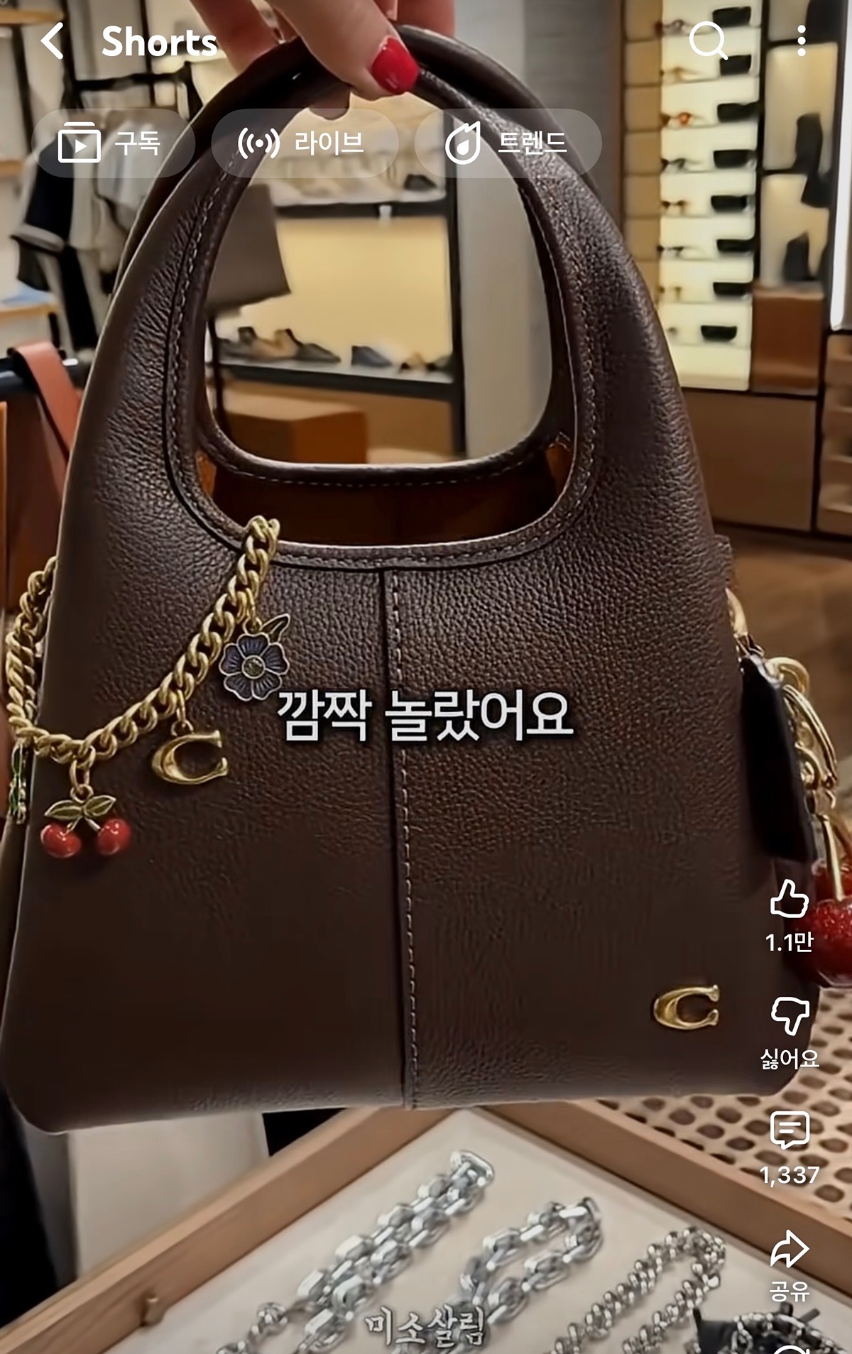 [잡담] 요즘 코치 가방 핫하다던데 | 인스티즈