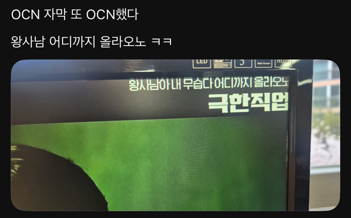 [잡담] 아 왕사남 소식듣고 득달같이 온 ocn 개웃기네 | 인스티즈