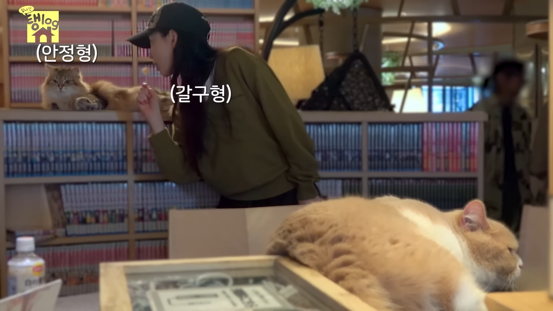 [잡담] 아 태연 고양이 관심 갈구하는거 귀엽닼ㅋㅋㅋㅋㅋㅋ | 인스티즈