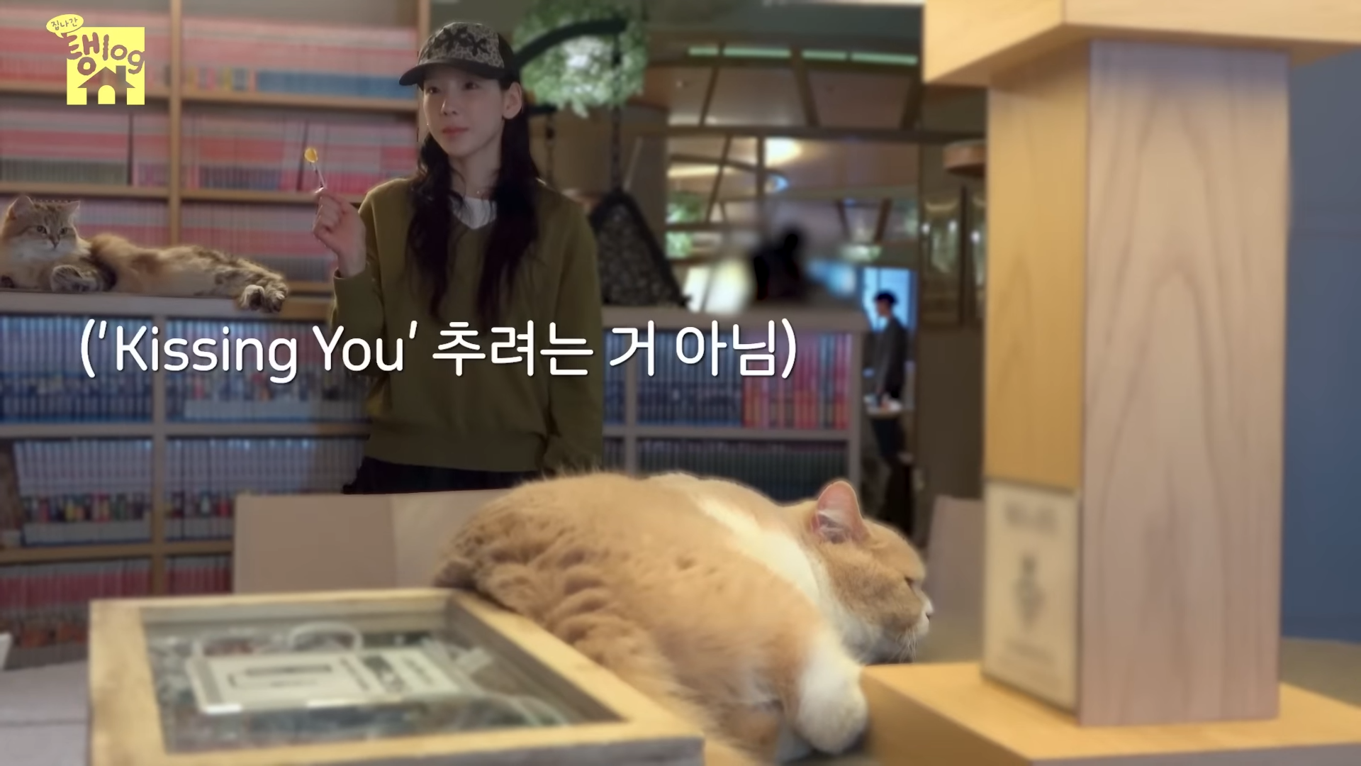 [잡담] 아 태연 고양이 관심 갈구하는거 귀엽닼ㅋㅋㅋㅋㅋㅋ | 인스티즈