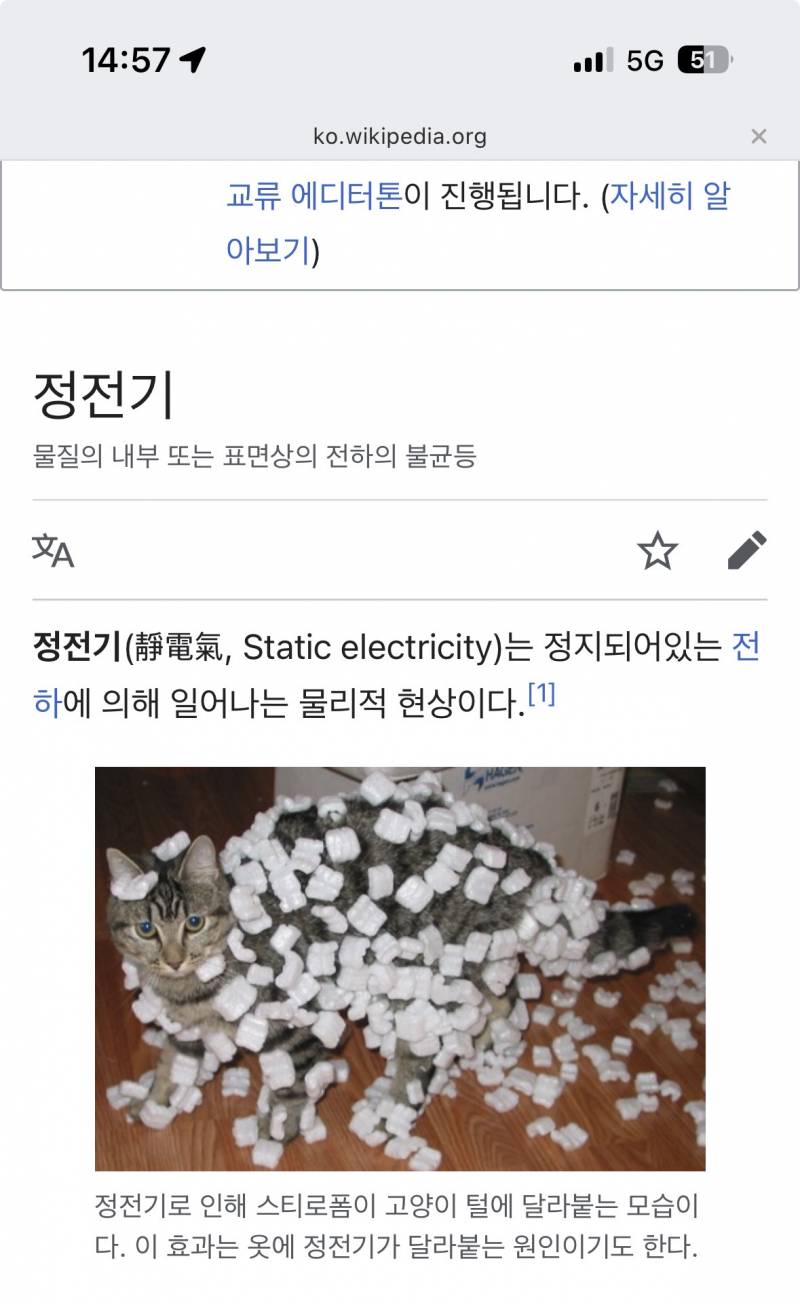[잡담] 위키백과에 나온 정전기 사진ㄷ | 인스티즈