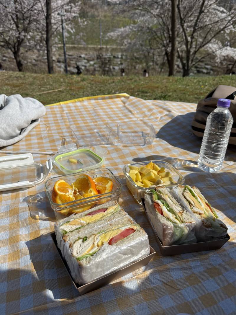 [잡담] 피크닉 나왔다 | 인스티즈