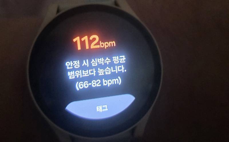 [잡담] 내 심장박동수 뭐예요 | 인스티즈