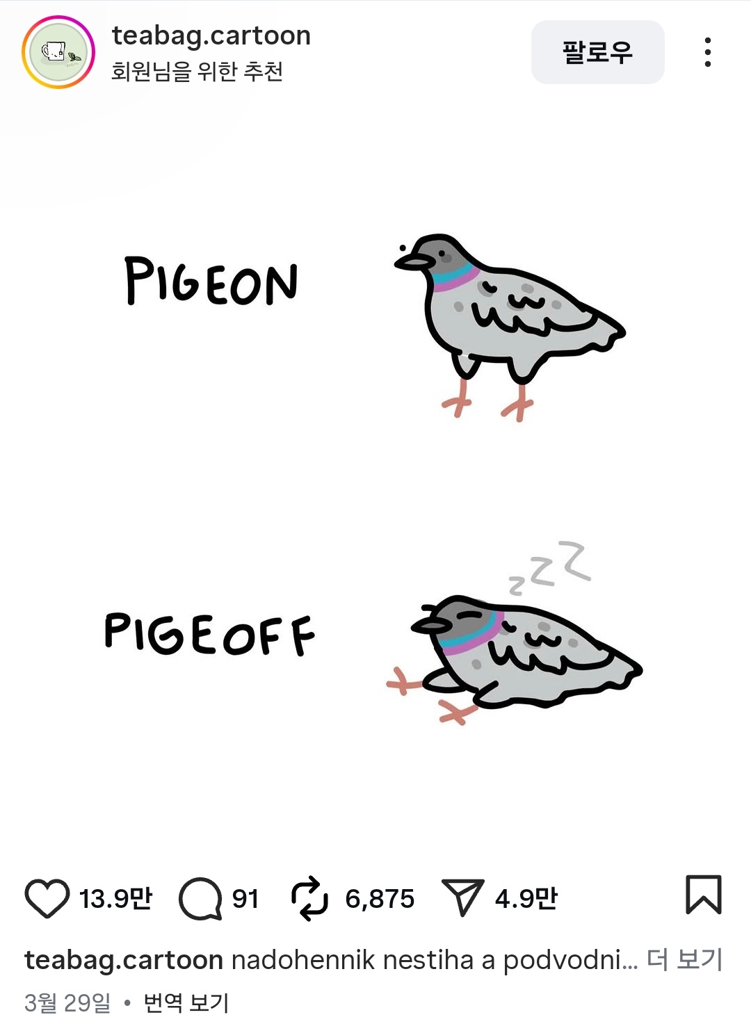 [잡담] 이 비둘기 그림 어때보여? | 인스티즈
