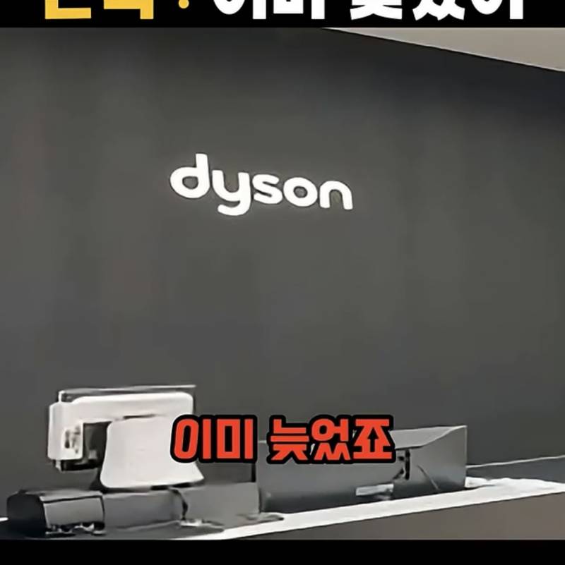 요즘 𝙅𝙊𝙉𝙉𝘼 박살났다는 다이슨 근황..JPG | 인스티즈