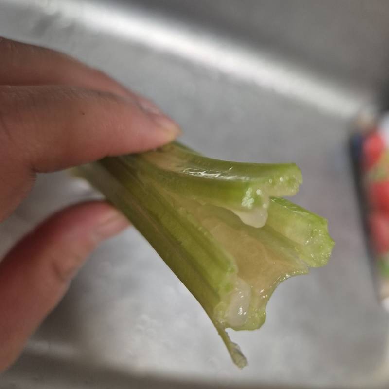 [잡담] 샐러리 궁금해서 사봤는데 | 인스티즈