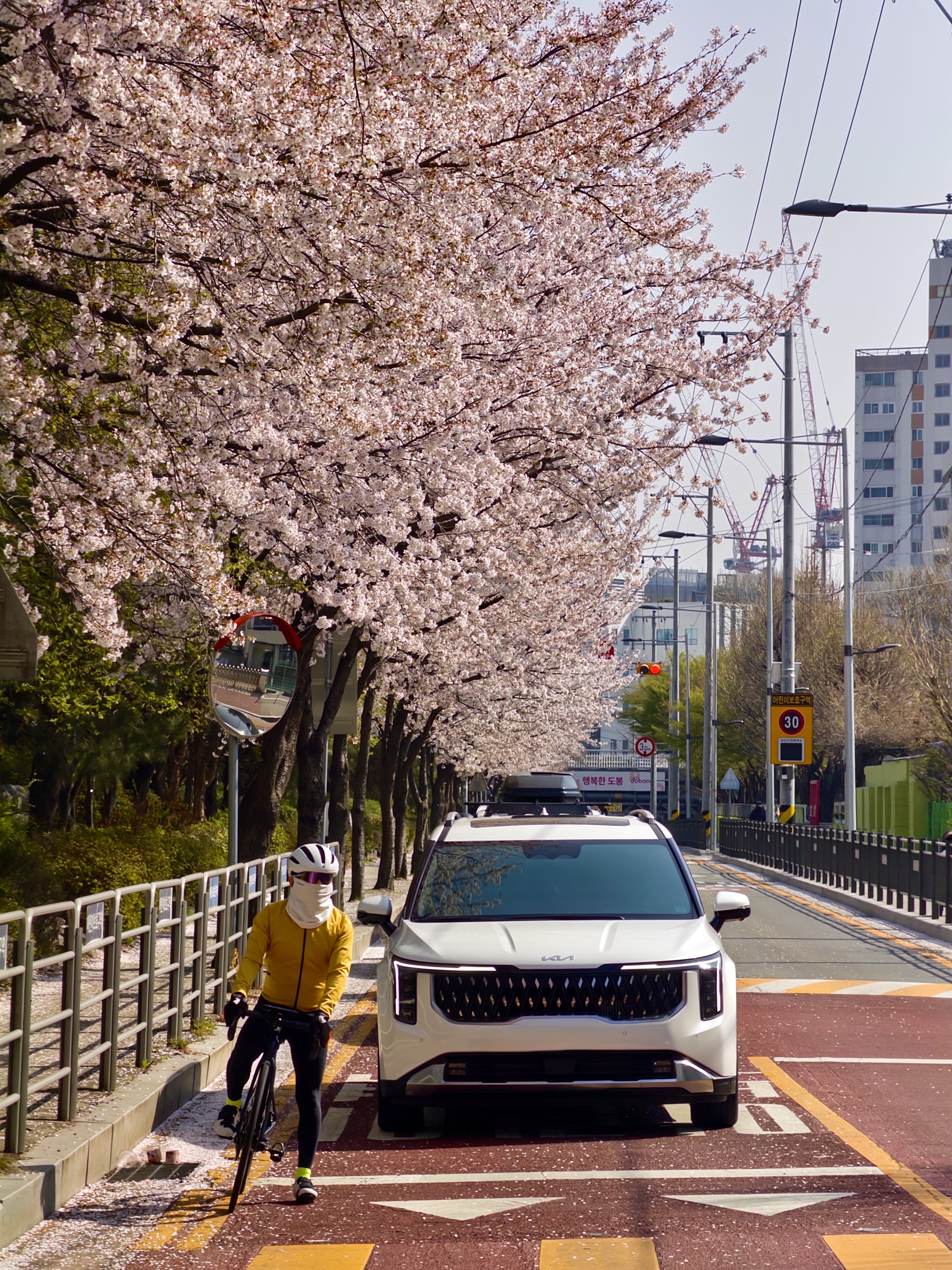[잡담] 사진 좀 광고처럼 나온듯 ㅋㅋㅋ | 인스티즈