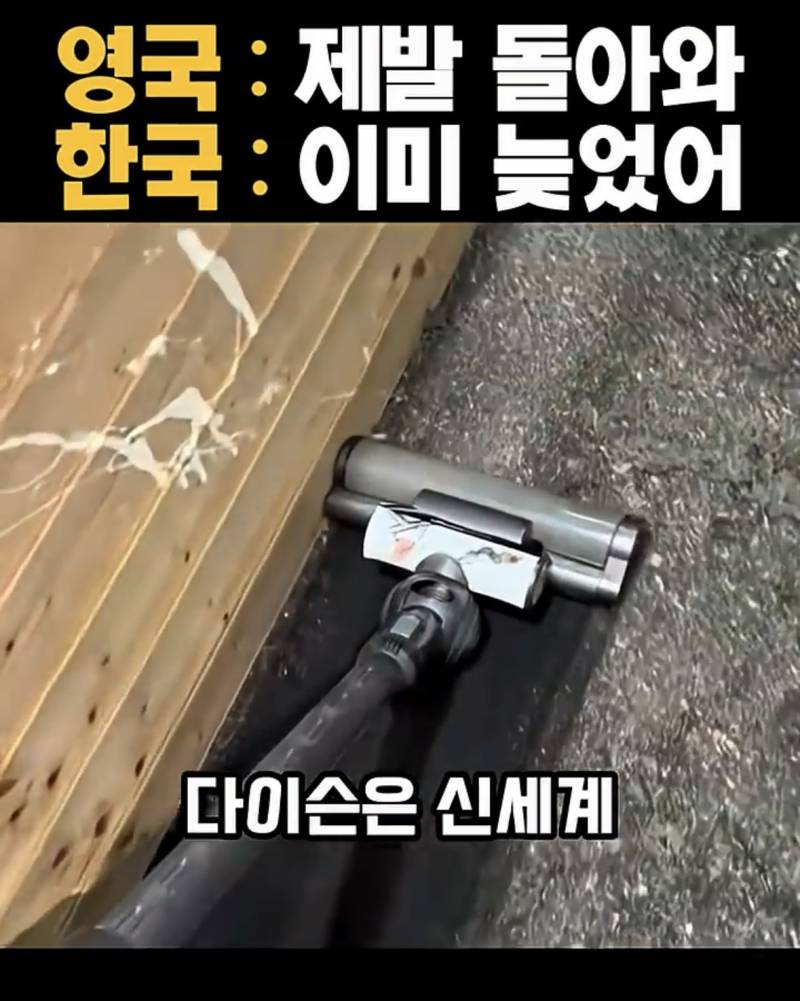 요즘 𝙅𝙊𝙉𝙉𝘼 박살났다는 다이슨 근황..JPG | 인스티즈