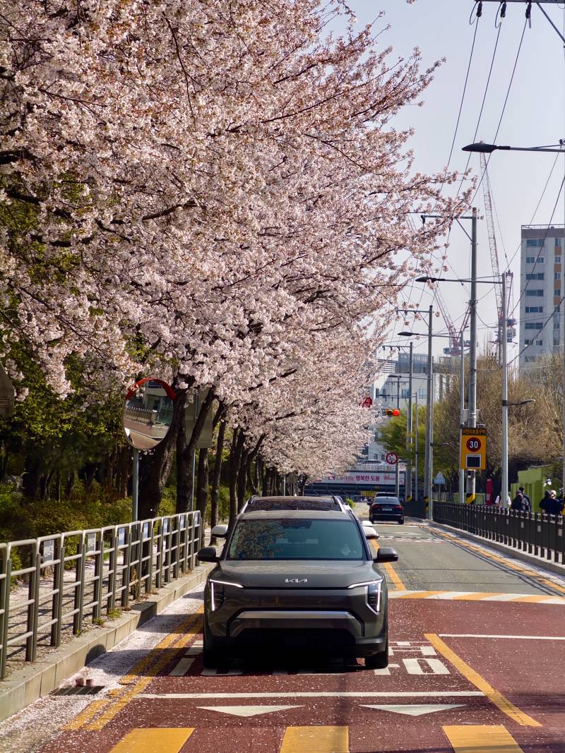 [잡담] 사진 좀 광고처럼 나온듯 ㅋㅋㅋ | 인스티즈
