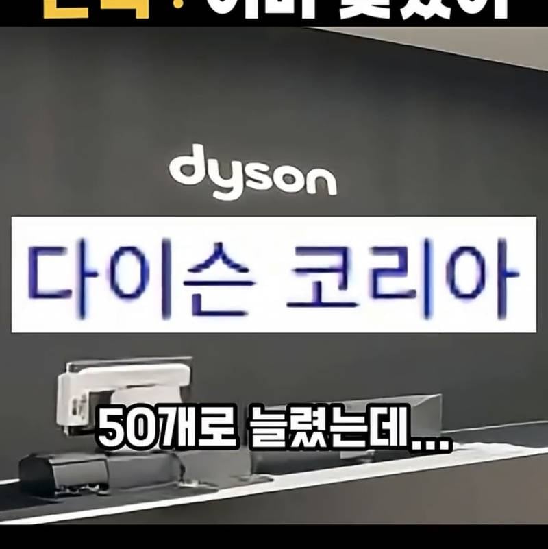 요즘 𝙅𝙊𝙉𝙉𝘼 박살났다는 다이슨 근황..JPG | 인스티즈