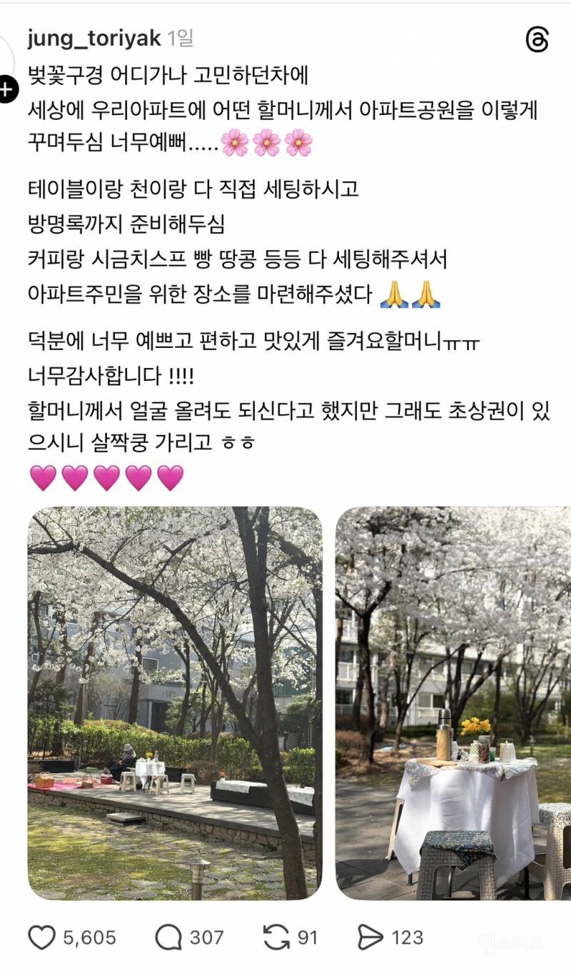 아파트 단지에 주민이 꾸민 벚꽃 쉼터🌸🌸.jpg | 인스티즈