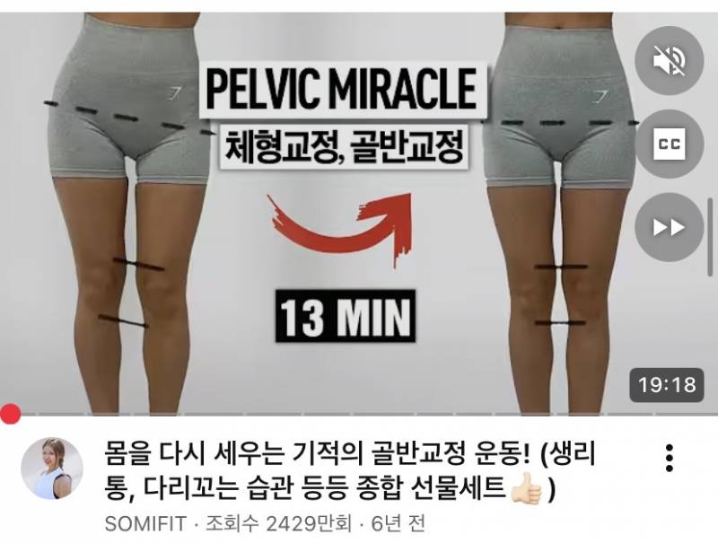 [잡담] 하비 홈트 ㅊㅊ해줄게 | 인스티즈