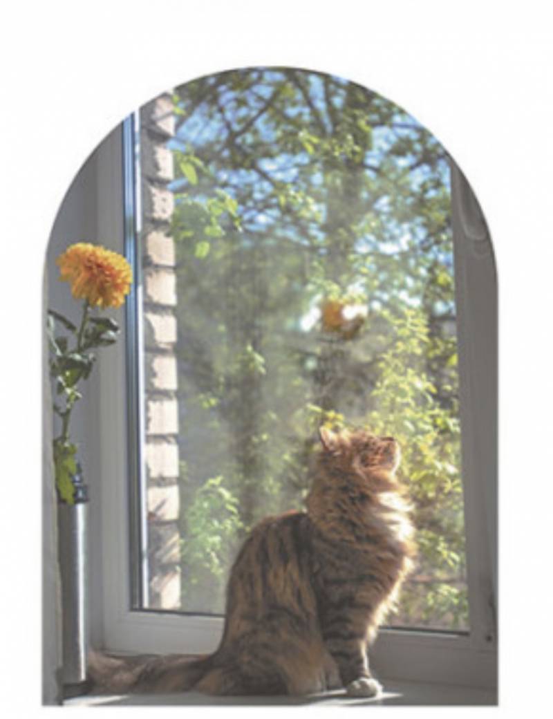 [잡담] 침대 위 포스터 붙일건데 둘중 골라주라!!!!! | 인스티즈