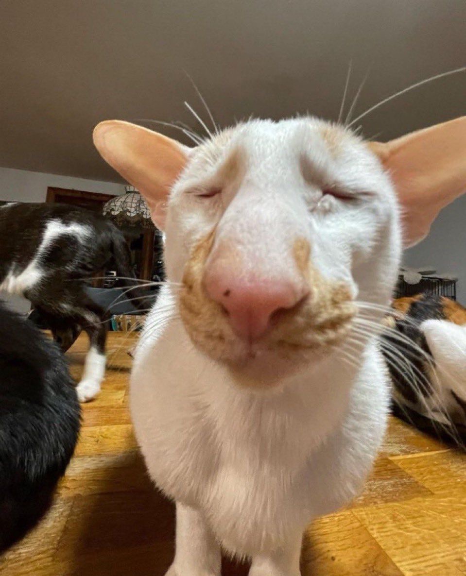 [잡담] 신점특) 남들이 간곳은 용한데, 내가 간곳은 뭐임? | 인스티즈